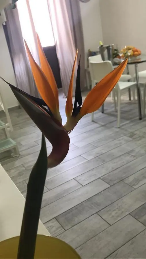 Apartment Via Scuto